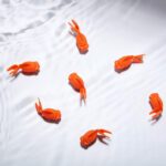 Sumind 30 Pieces Fake Goldfish Plastic Floating Artificial Aquarium Fish Realistic Moving Orange Goldfish Ornament Decorations for Aquarium Tank - Image 8