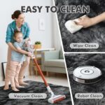 6x9 Ft Large Shag Rugs for Living Room Decor, Tie-Dyed Ultra Soft Fluffy Furry Area Rugs for Bedroom Indoor Floor, Aesthetic Carpet for Kids Home (Dark Grey) - Image 8