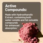 NatureWise Cranberry Pills for Women - Extract Equal to 12,500mg* Cranberry Supplement + Vitamin C & E - Cleansing Urinary Tract & Bladder - Vegan, Non-GMO, Sugar-Free - 360 Capsules[6-Month Supply] - Image 9