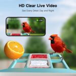 Bird Feeder with Camera, Smart Bird Feeder with Camera 1 Year Trial AI Identify Birds Species with 3W Solar Panel HD Live Video Birds House with Cam 2L Capacity Gift for Men Women - Image 4