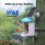 Bird Feeder with Camera, Smart Bird Feeder with Camera 1 Year Trial AI Identify Birds Species with 3W Solar Panel HD Live Video Birds House with Cam 2L Capacity Gift for Men Women - Image 7