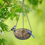 Hanging Bird Feeder, Birdfeeder Hanging for Garden Yard Outside, Hanging Birdfeeder Tray - Metal Mesh Platform Feeders for Birds Outside Outdoors Hanging for Attracting Birds - 3 Pack - Image 4