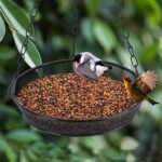 Hanging Bird Feeder, Birdfeeder Hanging for Garden Yard Outside, Hanging Birdfeeder Tray - Metal Mesh Platform Feeders for Birds Outside Outdoors Hanging for Attracting Birds - 3 Pack - Image 5