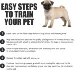 BV Puppy Pads Leak-Proof 100 Count 22"x 22" - Absorbent Pee Pads for Dogs with 6-Layer Design, Rapid Dry Sheet & Built-in Attractant - Dog Pad with Odor Control, Perfect for Puppies & Senior Dogs - Image 7