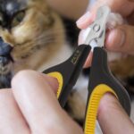 Cat Nail Clippers by Pet Republique – Professional Stainless-Steel Nail Clipper for Cats, Kittens, Hamster, Rabbits, Birds, & Small Breed Animals Claw Trimmer - Image 3