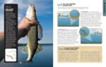 The Total Fishing Manual (Paperback Edition): 318 Essential Fishing Skills (Field & Stream) - Image 7