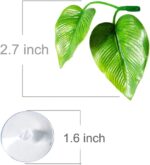 CousDUoBe 2 Pack Betta Fish Leaf Pad Improves Betta's Health by Simulating The Natural Habitat - Natural, Organic, Comfortable Rest Area for Fish Aquarium Ornaments - Image 4