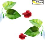 CousDUoBe 2 Pack Betta Fish Leaf Pad Improves Betta's Health by Simulating The Natural Habitat - Natural, Organic, Comfortable Rest Area for Fish Aquarium Ornaments - Image 7