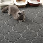 Cat Litter Mat, XL Super Size, Phthalate Free, Easy to Clean, 46x35 Inches, Durable, Soft on Paws, Large Litter Mat. - Image 7