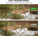 WOSPORTS Mini Trail Camera 2 Pack 24MP 1080P HD, Game Hunting Cam with 32GB SD Cards, Waterproof Night Vision Tiny Scouting Camera for Outdoor Wildlife Monitoring - Image 3