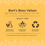 Burt's Bees for Pets Kitten Wipes with Buttermilk - Pet Wipes for Cats Waterless Bathing & Cleaning, Kitten Essentials for Indoor Kittens, Gentle Cat Grooming Wipe for Face, Paws & Butt, 50 Count - Image 8