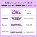 Glow, 1200mg Snail Mucin Supports Skin Elasticity, Collagen Peptides Jelly Stick, Kiwi Flavor, Biotin, Vitamin C, Hyaluronic Acid, Prebiotics, Korean Skin Care, 10 Sticks - Image 5