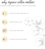 Burt's Bees Baby baby-girls Sleep and Play Pajamas, 100% Organic Cotton, One-piece Footless Pajamas - Image 5