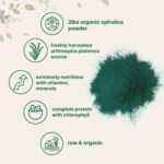 Organic Spirulina Powder, 2lbs | Raw Blue Green Algae | Superfood Rich in Vegan Protein, Antioxidants, Vitamins, & Minerals | Natural Source of Chlorophyll & Enzymes | Non-GMO, Filler Free - Image 4