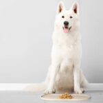 DogBuddy Dog Food Mat - Waterproof Dog Bowl Mat, Silicone Pet Mat for Food and Water Bowls, Nonslip Pet Feeding Mat with Edges, Dogs Food Mats for Floors, Puppy Supplies (Small, White Sand) - Image 9