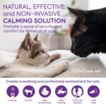 Cat Pheromones Calming Diffuser: Premium Pheromone Diffuser for Cats - Cat Pheromones Diffuser - Cat Calming Diffuser - Cat Calming Pheromone Diffuser, 3 Pack (Purple) - Image 4