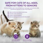 Cat Pheromones Calming Diffuser: Premium Pheromone Diffuser for Cats - Cat Pheromones Diffuser - Cat Calming Diffuser - Cat Calming Pheromone Diffuser, 3 Pack (Purple) - Image 7