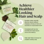 Kitsch Tea Tree Shampoo and Conditioner Set – Anti Dandruff Shampoo Bar & Conditioner Bar - Hair Care for All Hair Types - Free of Paraben, Sulfate & Silicone - Made in USA - 2 pcs - Image 3