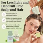 Kitsch Tea Tree Shampoo and Conditioner Set – Anti Dandruff Shampoo Bar & Conditioner Bar - Hair Care for All Hair Types - Free of Paraben, Sulfate & Silicone - Made in USA - 2 pcs - Image 4