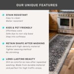 Black Washable Entry Rug, 2x3 Small Rugs for Entryway Kitchen Bathroom Door Mat Indoor Entrance, Non Slip Rubber Backing, Stain & Fade Resistant, Ashen Charcoal Floral Decor - Image 8