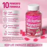 Calcium Magnesium Zinc Gummies & Vitamin D3,B6,B12,Immune & Supporting Bone Health Calcium Magnesium Supplement for Women Men,Sugar-Free Vegan Raspberry Flavor 90 Counts - Image 4
