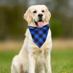 Bandanas for Dogs, 2Pcs Triangle Dog Bandanas Adjustable Reusable Puppy Bandana Apparel Handkerchief Accessories for Large Medium Dogs Puppies Pets - Image 7