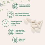 Pure Magnesium Citrate Supplements 500mg, 300 Capsules | Fat-Soluble Vitamin C Added | 100% Chelated | Supports Digestion, Muscle & Heart Health | Only Active Ingredients - Image 4