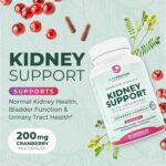 PurePremium Kidney Support Supplement – Kidney Cleanse Detox & Repair with Cranberry Extract & Astragalus - 21-in-1 Complex Supports Normal Bladder, Urinary Tract & Kidneys Health - 60 Day Supply - Image 3