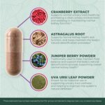 PurePremium Kidney Support Supplement – Kidney Cleanse Detox & Repair with Cranberry Extract & Astragalus - 21-in-1 Complex Supports Normal Bladder, Urinary Tract & Kidneys Health - 60 Day Supply - Image 7