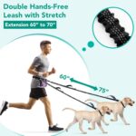 PetAmi Premium Hands Free Dog Leash for 2 Dogs, Adjustable Waist Belt Leash for Dog Walking, Fanny Pack Accessories Bag Dual Bungee Leash for Running, Hiking, Jogging, Biking, Purple - Image 3