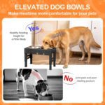 Elevated Dog Bowls with 2 Stainless Steel Bowls, Raised Dog Food Bowl Stand 5 Height Adjustable (3.1", 9", 10", 11", 12") Non-Slip Feeder Station Set for Medium and Large Dogs - Black - Image 5