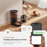 Automatic Cat Feeder WiFi and Water Dispenser, Timed Dry Food Dispenser APP Remote Control, Programmable Portions, Cat Fountains for Drinking with Filter, Small Pets (Combo 3L) - Image 3