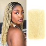 Afro Kinkys Bulk Human Hair, 22 Inch 50G/Pack Soft 4C Afro Kinky-Curly Human Hair Bulk for Twist Dreadlocks Extensions Repair Locs 613 Blonde 1 Pack (613, 22 inch) - Image 2