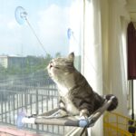 Cat Window Hammock – Mess-Free Waterproof Cats Window Perch for Large Cats, Strong Suction Cup Hammock with Flannel Cover, Indoor Cat Seat, Beige - Image 2