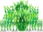 MyLifeUNIT Artificial Aquarium Plants, 13 Pack Plastic Seaweed Water Plants for Fish Tanks (Green) - Image 2