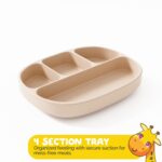 Baby Essentials by Muqee Peeko with BLW Supplies and Kids Feeding Sets - Food Grade Silicone (6 Piece Set) - Image 8