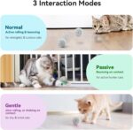 Cheerble Smart Interactive Cat Toy, Automatic Moving Bouncing Rolling Ball for Indoor Cat Kitten, Peppy Pet Ball with Lights and Bell, Grey - Image 3