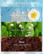 M&SENSE Sea Salt Vanilla Scented Candles Large Beach Candle, Natural Soy Summer Candles 21.2oz 120 Hour Slow Burning,Aromatherapy Candle for Stress Relief Meditation Relaxing - Image 3