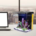 FREESEA 1.4 Gallon Betta Aquarium Starter Kits Square Fish Tank with LED Light and Filter Pump - Image 4