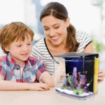 FREESEA 1.4 Gallon Betta Aquarium Starter Kits Square Fish Tank with LED Light and Filter Pump - Image 5