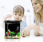 FREESEA 1.4 Gallon Betta Aquarium Starter Kits Square Fish Tank with LED Light and Filter Pump - Image 7