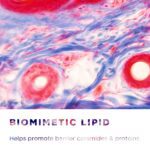 Bioderma SENSIBIO AR+ CREAM - Image 8