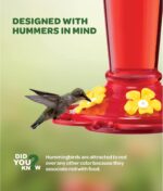 Hummingbird Feeder 10 oz [Set of 2] Plastic Feeders for Outdoors, with Built-in Ant Guard - Circular Perch with 5 Feeding Ports - Wide Mouth for Easy Filling/2 Part Base for Easy Cleaning - Image 3