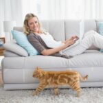 Generic Cat Scratch Furniture Protector, 15.8"x157" Thick Vinyl Couch Protector, Clear Self-Adhesive Cat Tape for Furniture, Sofa, Door, Walls - Image 6