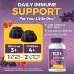 Viva Naturals Sugar-Free Sambucus Elderberry Gummies for Kids, 8-in-1 Children Immune Support with Vitamin C & Zinc – Chewable, Vegan & Gluten-Free (120 Count) for Daily Wellness - Image 3
