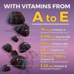 Viva Naturals Sugar-Free Sambucus Elderberry Gummies for Kids, 8-in-1 Children Immune Support with Vitamin C & Zinc – Chewable, Vegan & Gluten-Free (120 Count) for Daily Wellness - Image 6