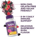 Viva Naturals Sugar-Free Sambucus Elderberry Gummies for Kids, 8-in-1 Children Immune Support with Vitamin C & Zinc – Chewable, Vegan & Gluten-Free (120 Count) for Daily Wellness - Image 9