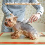 Dogs Hair Clippers Grooming Kit with Nail Grinder, 4 in 1 Cordless Electric Trimmer Low Noise USB Pet Clippers for Dogs Cat,Grooming Paws, Eyes, Ears, Face,Matted Hair - Image 6