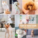 Dogs Hair Clippers Grooming Kit with Nail Grinder, 4 in 1 Cordless Electric Trimmer Low Noise USB Pet Clippers for Dogs Cat,Grooming Paws, Eyes, Ears, Face,Matted Hair - Image 9