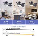 32 Inch Modern Ceiling Fans with Lights, Small Flush Mount Ceiling Fan with Light and Remote/APP Control, 5 Reversible 6 Speeds Curved Blades, 3 CCT Dimmable Lights for Bedroom, Black - Image 7